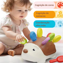 Ouriço Educacional de Encaixe, Treinamento Motor e Sensorial para Crianças a partir de 18 meses